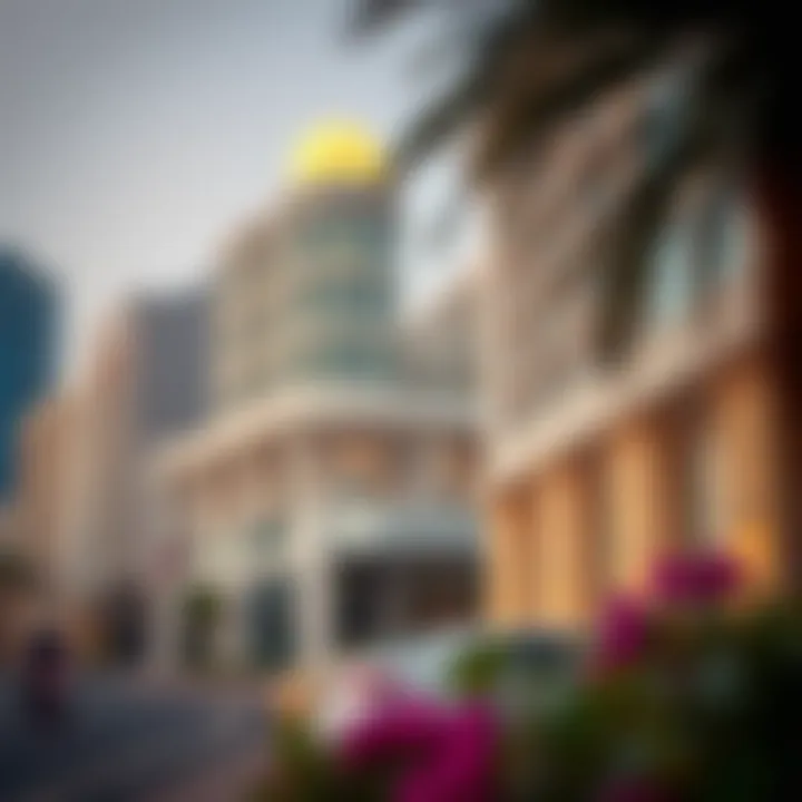 Understanding the Visa Cancellation Guidelines Guideline for Visa Cancellation