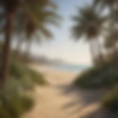 Ecological Richness of Al Hudayriyat Beach Ecologically significant coastal landscape depicting native flora and fauna at Al Hudayriyat Beach