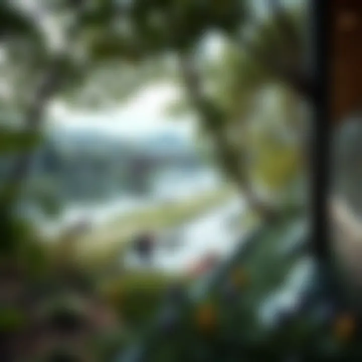 Environmental Aspects of the Danube Project Environmental considerations and green spaces featured in the Danube Project's layout