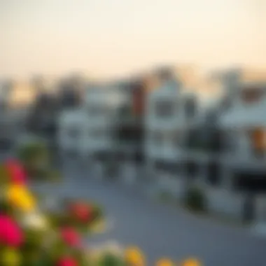 Modern residential neighborhood in Dubai with luxurious villas