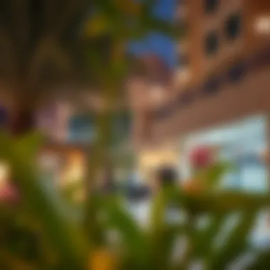 The Thriving Community Surrounding Eden House Vibrant community life in Al Satwa