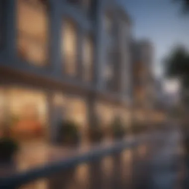 Exploring 1 BHK Rental Opportunities in Liwan Introduction Exploring 1 BHK Rental Opportunities in Liwan Introduction