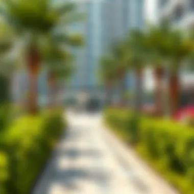 Surrounding Greenery of Al Ain Plaza Lush greenery surrounding Al Ain Plaza enhancing its appeal
