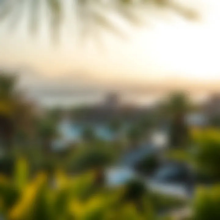 Serene Nature Surroundings of Al Gurm Resort Serene surroundings of Al Gurm Resort showcasing nature