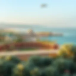 Panoramic view of Al Jubail Island's natural landscape