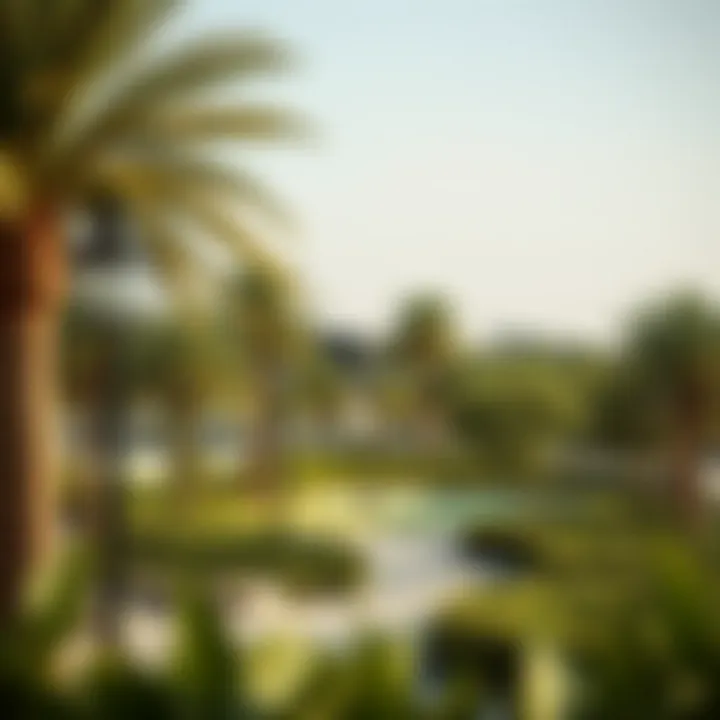 Green Spaces in Al Waha Green spaces and parks in Al Waha