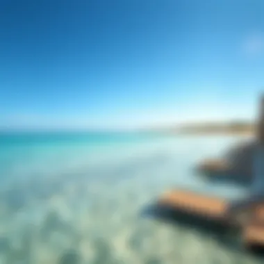 Beach Paradise: Relaxation Spots in Dubai A serene beach in Dubai with crystal-clear waters