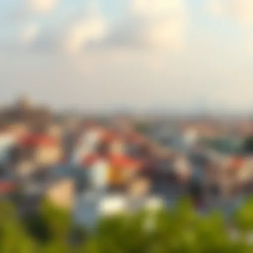 Architectural Diversity in بني ياس شرق Panoramic view of بني ياس شرق showcasing its architectural diversity