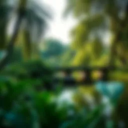 Lush greenery surrounding Barsha Pond