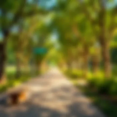 Serene Walking Paths Through Nature Walking paths lined with trees in Barsha Pond Park