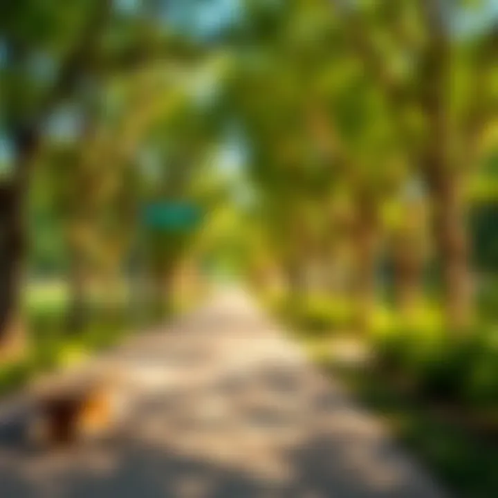 Serene Walking Paths Through Nature Walking paths lined with trees in Barsha Pond Park