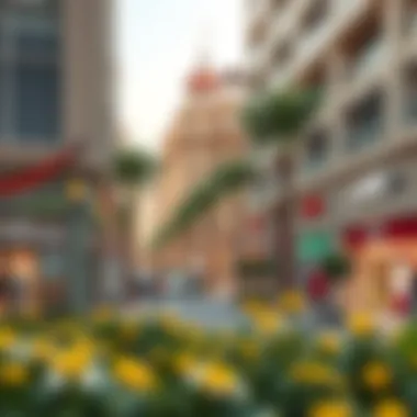 Local Amenities in Barsha South 3 Showcasing local amenities like shops and recreational areas in Barsha South 3