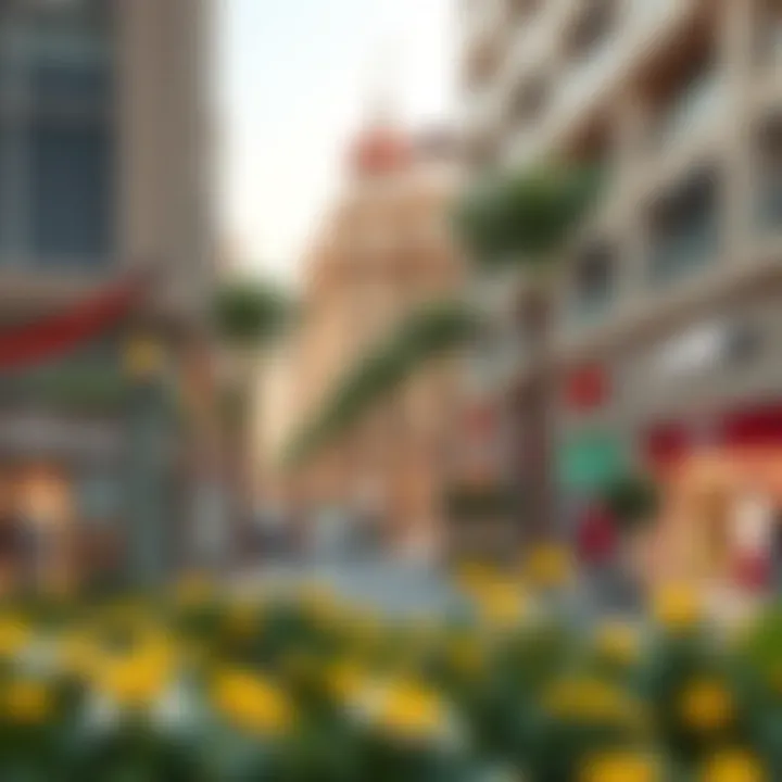 Local Amenities in Barsha South 3 Showcasing local amenities like shops and recreational areas in Barsha South 3