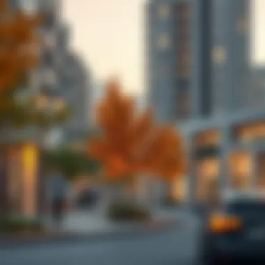 Real Estate Trends in Jumeirah Village Circle During Autumn Real estate trends analysis in JVC during autumn