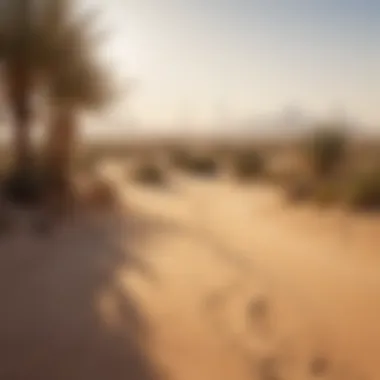 Serenity of the Dubai Desert Beautiful view of the desert landscape surrounding Dubai
