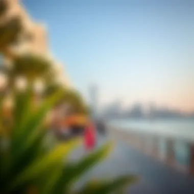 Lively Promenade Walk Vibrant promenade at Palm Jumeirah