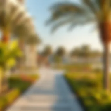 Community Parks and Recreation in Furjan Community parks and recreational spaces in Furjan thriving with life