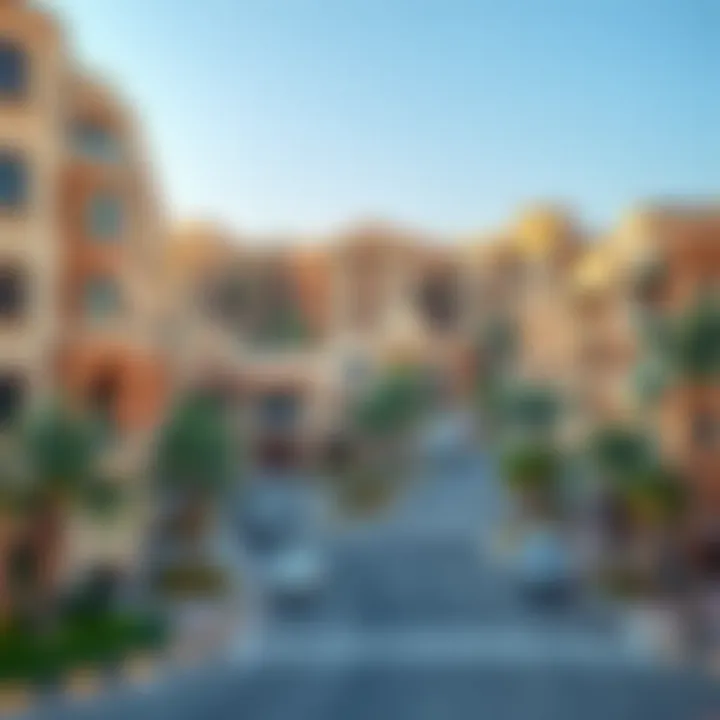 Vibrant neighborhood surrounding Jumeirah Falcon with various amenities