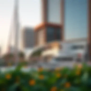 Vibrant lifestyle amenities surrounding Marina 23