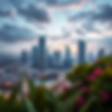 Scenic Views Surrounding MBL JLT Scenic views surrounding MBL JLT