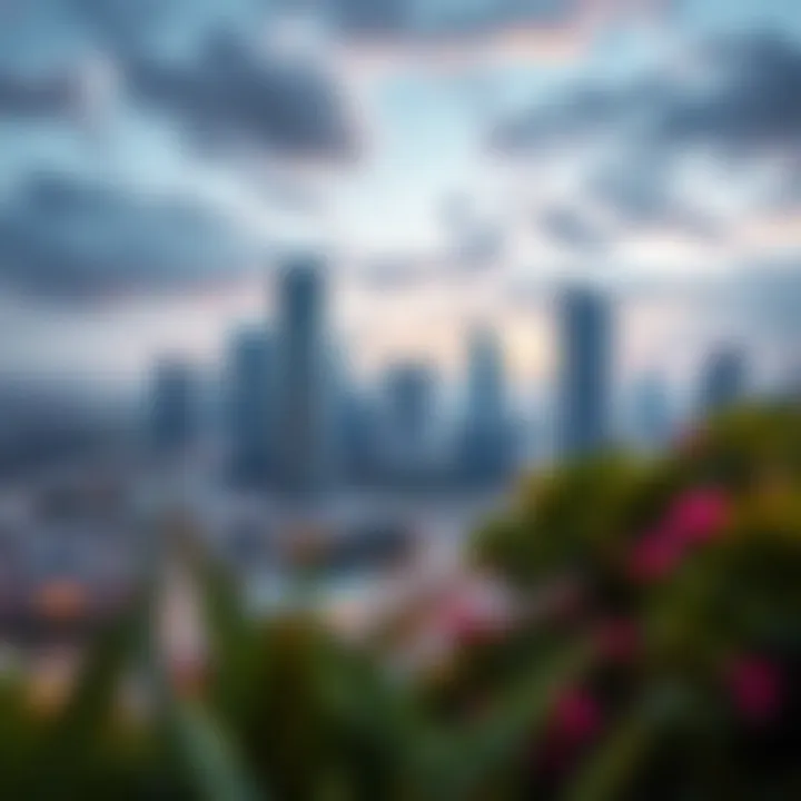 Scenic Views Surrounding MBL JLT Scenic views surrounding MBL JLT