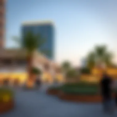 Community Engagement in Nad Al Sheba Vibrant community spaces within Meraas developments