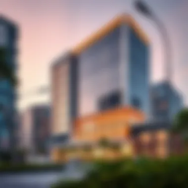 Modern Commercial Architecture in Mowaihat Modern commercial buildings in Mowaihat