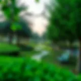 Lush Greenery at Nakheel Park Scenic view of Nakheel Park with lush greenery and pathways