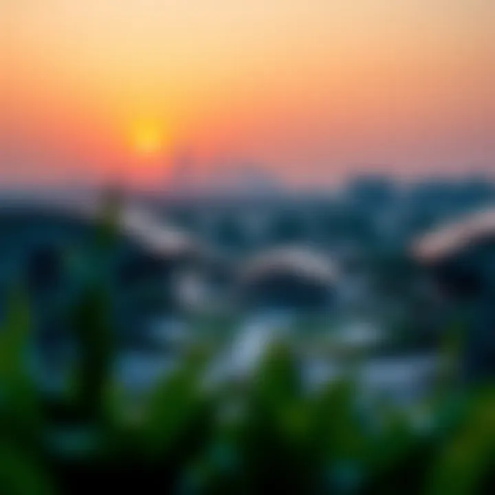 Sunset at Nakheel Park Sunset view over Nakheel Park showcasing community spaces