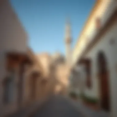 Architectural Details of Old Sarooj Al Ain Architectural details of Old Sarooj Al Ain structures