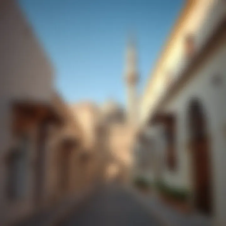 Architectural Details of Old Sarooj Al Ain Architectural details of Old Sarooj Al Ain structures