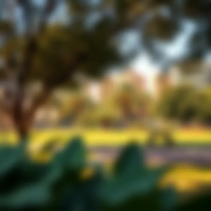 Shaded Picnic Spot for Relaxation A shaded picnic area in a pet-friendly park