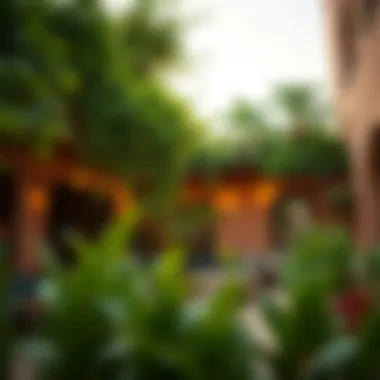 Lush Outdoor Areas in Al Nahda A cozy outdoor space in Al Nahda with lush greenery