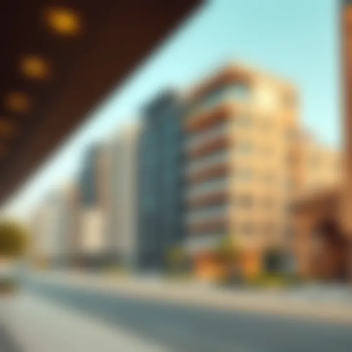 Illustration depicting stakeholders in the Taraf Development ecosystem