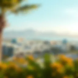 A panoramic view of Abu Hail showcasing its modern architecture and vibrant lifestyle