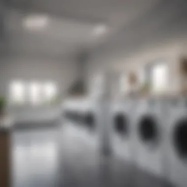 A modern laundry facility showcasing various washing machines and dryers