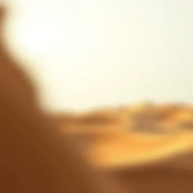 Dubai Desert Dunes The tranquil vistas of the Dubai Desert with golden sand dunes