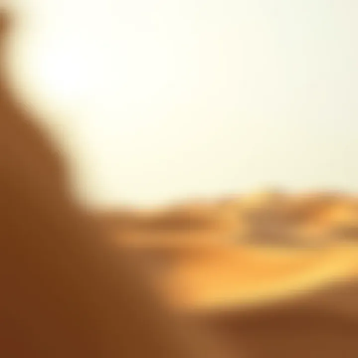 Dubai Desert Dunes The tranquil vistas of the Dubai Desert with golden sand dunes