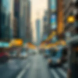 Detailed infographic of UAE visa types