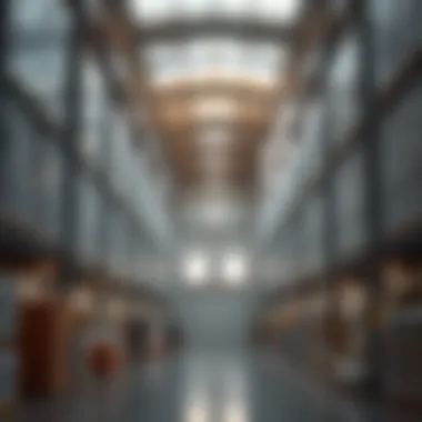 Interior of a Modern Warehouse in Ras Al Khor Interior of a modern warehouse in Ras Al Khor highlighting storage solutions