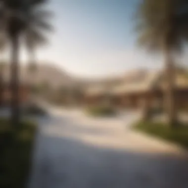 Community Amenities in West Yas Community amenities in West Yas including parks and leisure facilities
