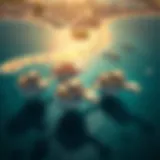 Breathtaking view of the Floating Seahorse villas above and below water