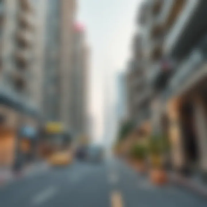 Navigating the Local Cost of Living in the UAE Understanding local cost of living