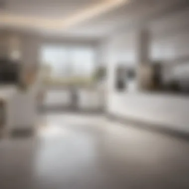 Gourmet Kitchen Area Modern kitchen with high-end appliances
