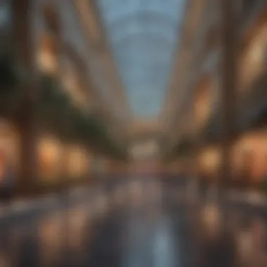 The Dubai Mall: A Hub of Lifestyle and Leisure Vibrant lifestyle scene at The Dubai Mall