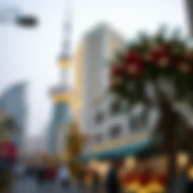 Festive Atmosphere in Dubai Festive atmosphere in Dubai during the public holiday season