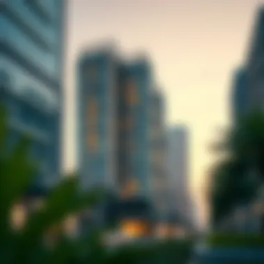 Investor Insights in Dubai's Real Estate Investor analysis and trends in Dubai real estate