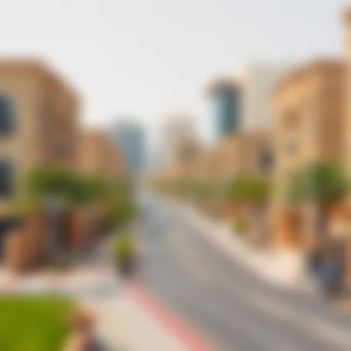 Demographics of Shabiya 12 Demographic overview of Shabiya 12, emphasizing community characteristics