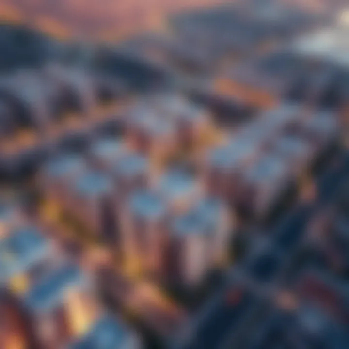 Aerial view of a boutique development community in Dubai