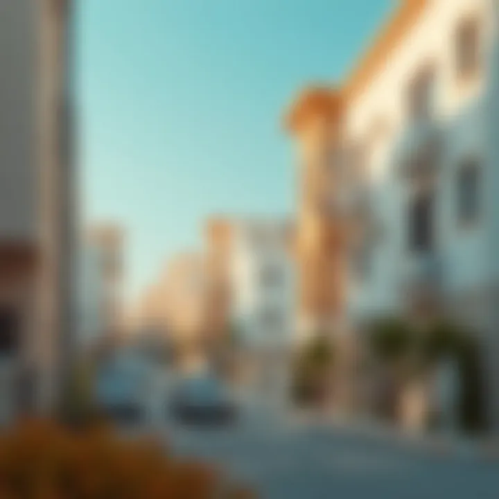 Diverse Accommodation Types in Nad Al Hamar A detailed view of the diverse types of accommodations available in Nad Al Hamar.